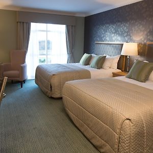 Luxury Twin Room